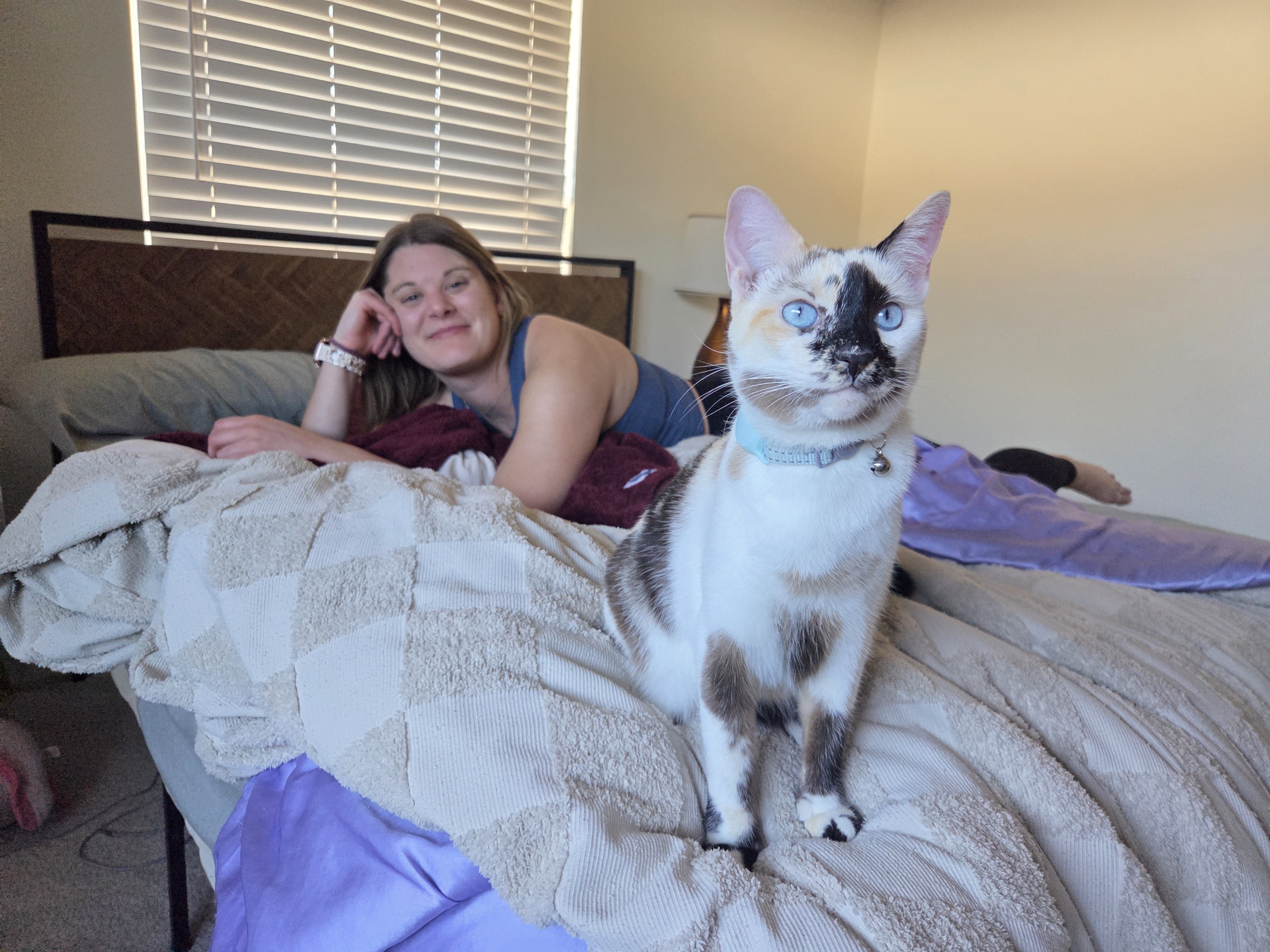 Judy the cat 2